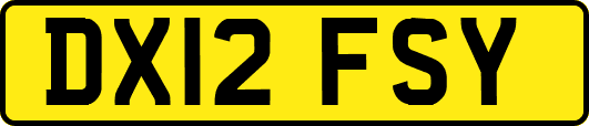 DX12FSY