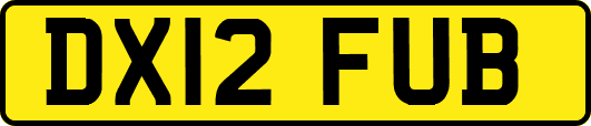 DX12FUB