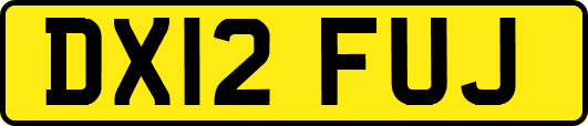 DX12FUJ