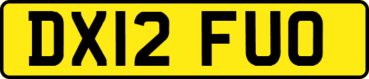 DX12FUO