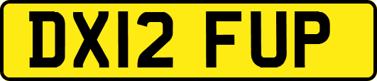 DX12FUP