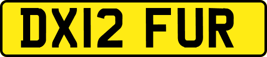 DX12FUR