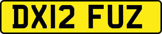 DX12FUZ