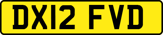 DX12FVD