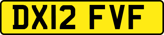 DX12FVF