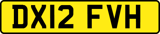 DX12FVH