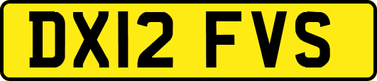 DX12FVS