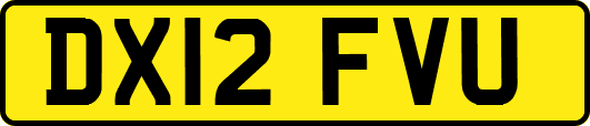 DX12FVU