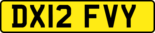 DX12FVY
