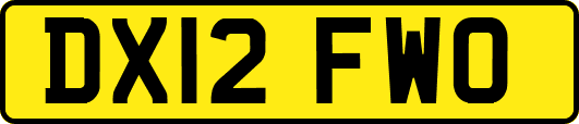 DX12FWO
