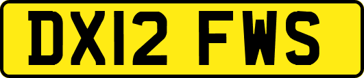 DX12FWS