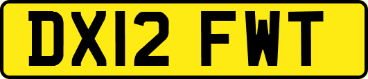 DX12FWT