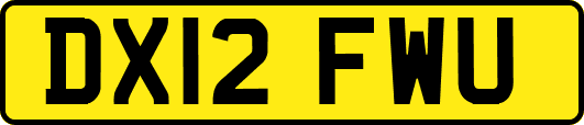 DX12FWU