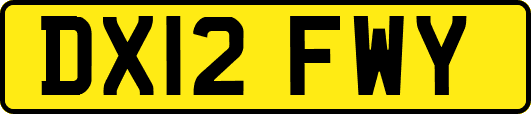 DX12FWY