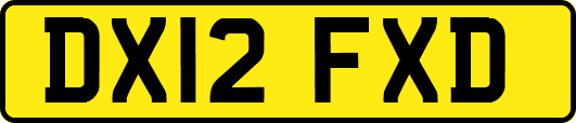 DX12FXD