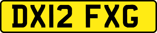 DX12FXG