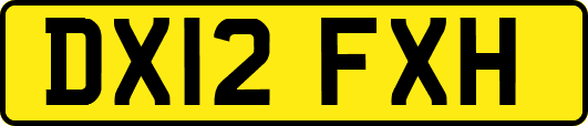 DX12FXH