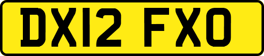 DX12FXO