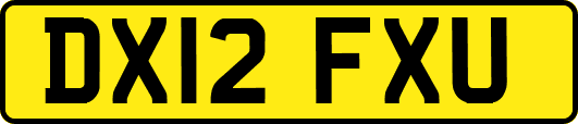 DX12FXU