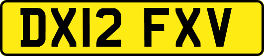 DX12FXV