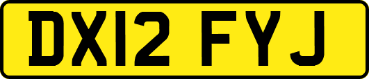 DX12FYJ