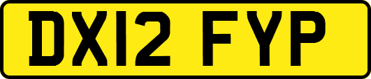 DX12FYP