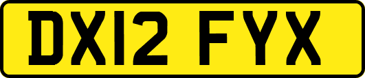 DX12FYX