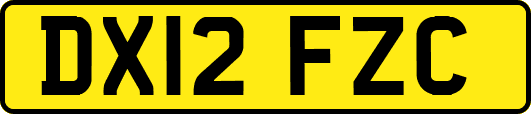 DX12FZC