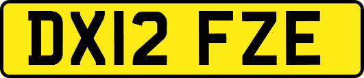 DX12FZE