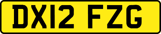 DX12FZG