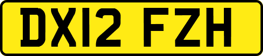 DX12FZH