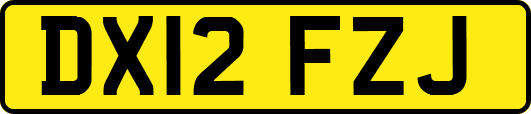 DX12FZJ