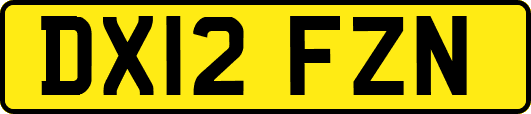 DX12FZN