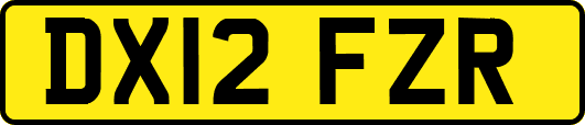 DX12FZR