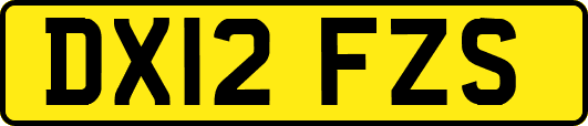 DX12FZS
