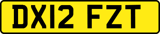 DX12FZT