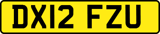 DX12FZU