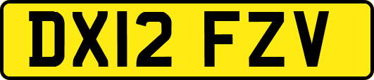 DX12FZV
