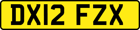 DX12FZX