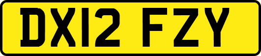 DX12FZY