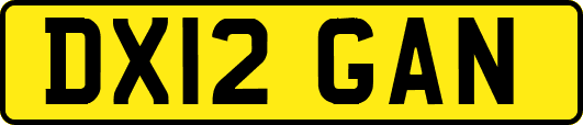 DX12GAN