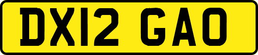 DX12GAO