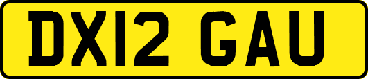 DX12GAU