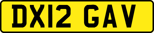 DX12GAV