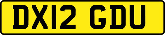 DX12GDU