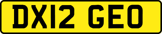 DX12GEO