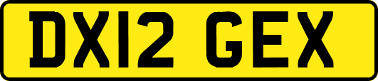 DX12GEX