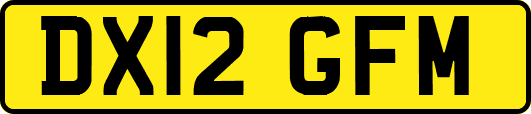 DX12GFM