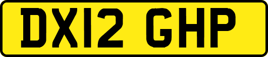 DX12GHP