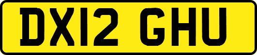 DX12GHU